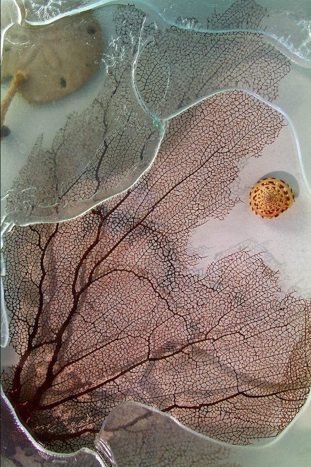 Broken Fan Pod — recycled glass with sea fan & shells by Patti Wessman, photo 2 of 2