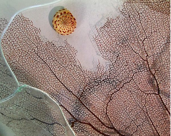 Broken Fan Pod — recycled glass with sea fan & shells by Patti Wessman, photo 1 of 2