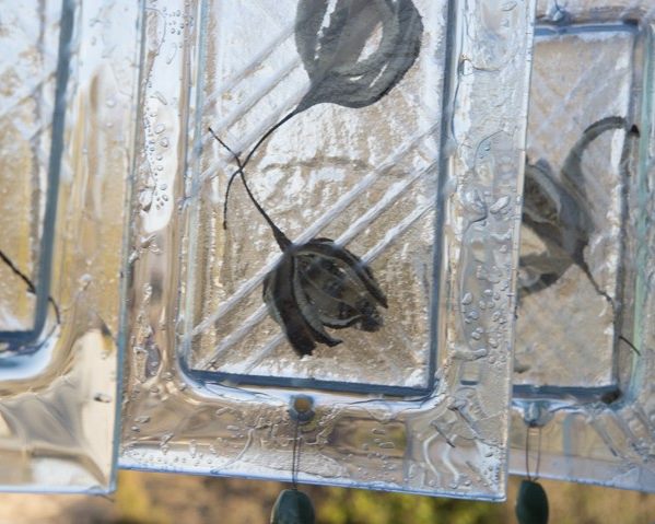 Pods within Pods — recycled glass with natural objects by Patti Wessman, photo 1 of 3