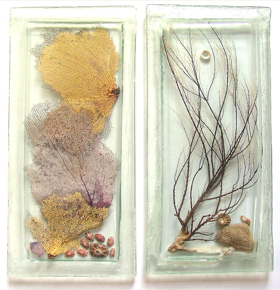 Sea Fan Pods — recycled cast glass · seven pods by Patti Wessman, photo 3 of 3