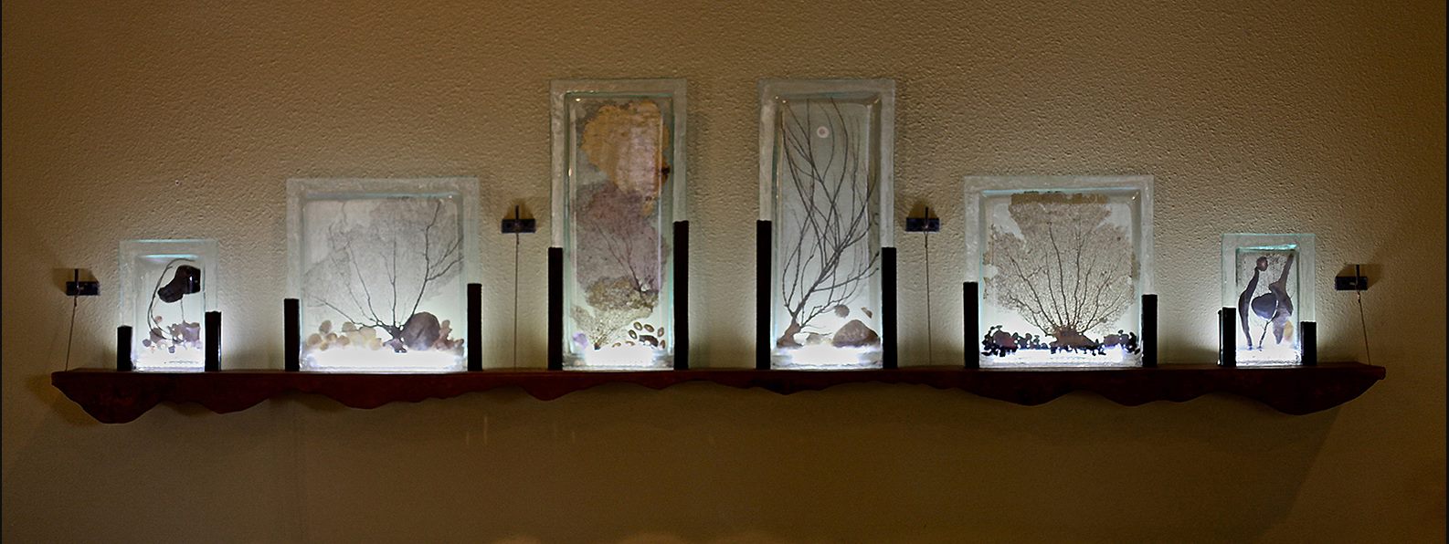 Sea Fan Pods — recycled cast glass · seven pods by Patti Wessman, photo 1 of 3