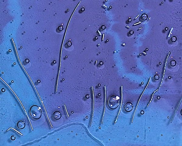 Silver Wire Inclusion — fused glass with silver-wire inclusion by Patti Wessman, photo 1 of 2